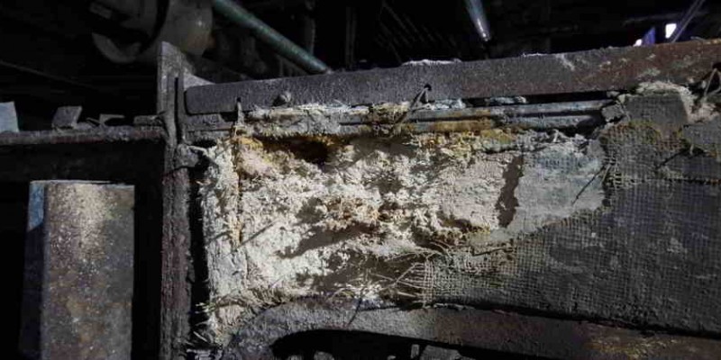 Abbildung von Asbest